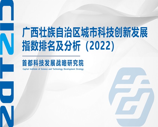 美女操逼链接【成果发布】广西壮族自治区城市科技创新发展指数排名及分析（2022）